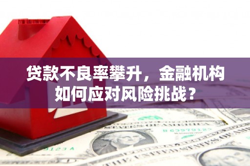 邯山贷款不良率攀升，金融机构如何应对风险挑战？