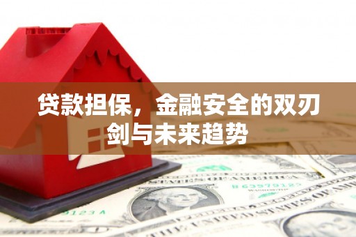 邯山贷款担保，金融安全的双刃剑与未来趋势