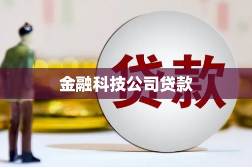 邯山金融科技公司贷款