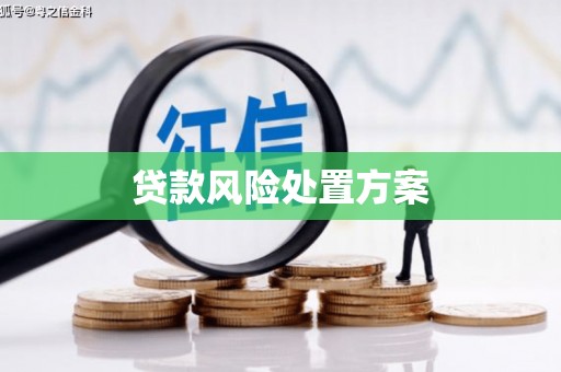 邯山贷款风险处置方案