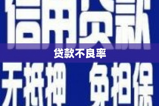邯山贷款不良率