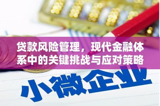 邯山贷款风险管理，现代金融体系中的关键挑战与应对策略