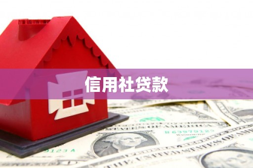 邯山信用社贷款