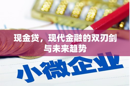 邯山现金贷，现代金融的双刃剑与未来趋势
