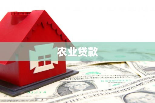 邯山农业贷款