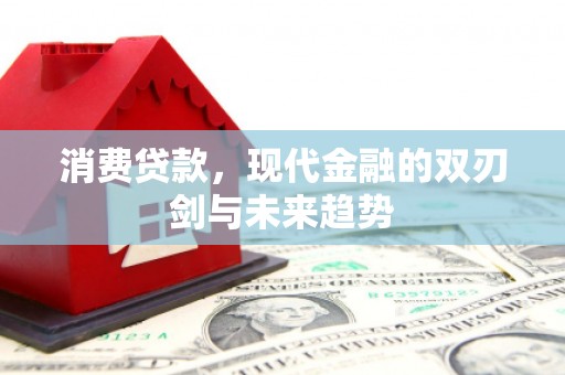 邯山消费贷款，现代金融的双刃剑与未来趋势