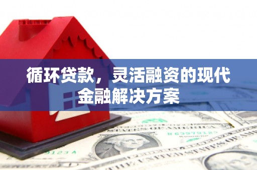 邯山循环贷款，灵活融资的现代金融解决方案