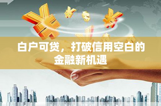 邯山白户可贷，打破信用空白的金融新机遇