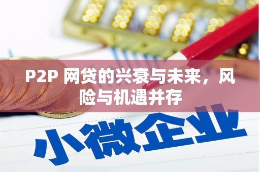 邯山P2P 网贷的兴衰与未来，风险与机遇并存
