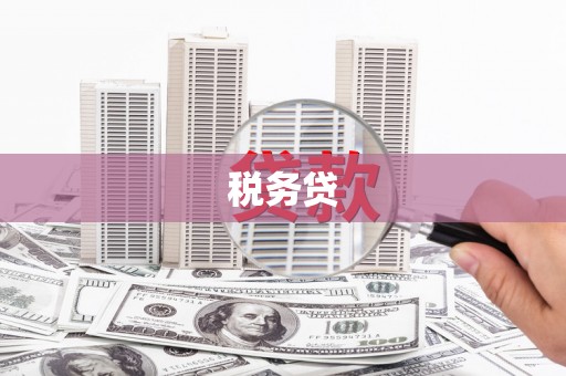 邯山税务贷