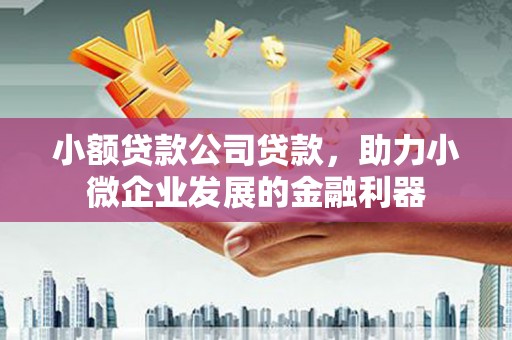 邯山小额贷款公司贷款，助力小微企业发展的金融利器
