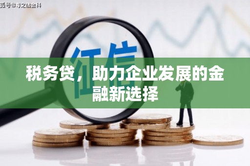 邯山税务贷，助力企业发展的金融新选择