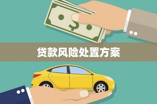 邯山贷款风险处置方案