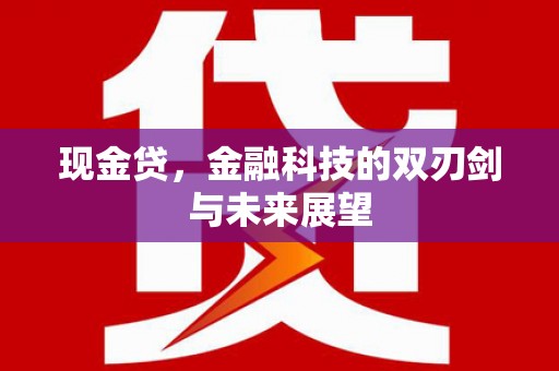 邯山现金贷，金融科技的双刃剑与未来展望