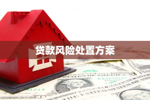 邯山贷款风险处置方案