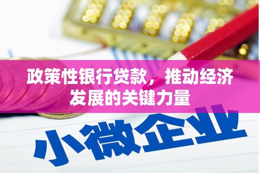 邯山政策性银行贷款，推动经济发展的关键力量