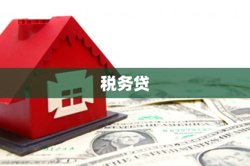 邯山税务贷