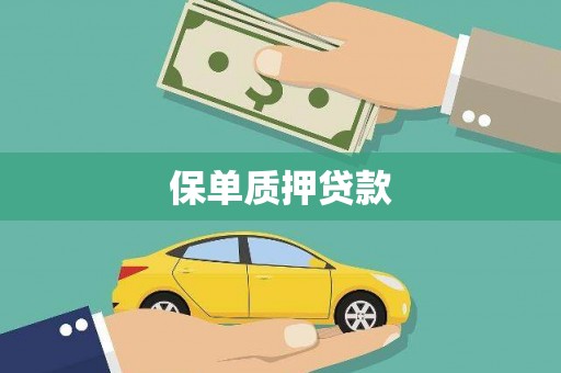 邯山保单质押贷款