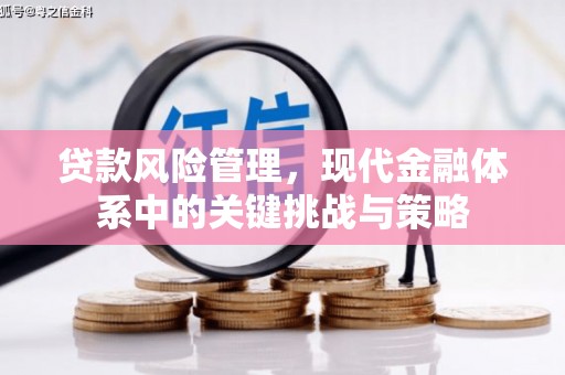 邯山贷款风险管理，现代金融体系中的关键挑战与策略