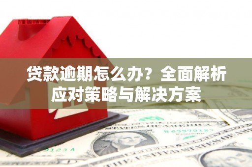 邯山贷款逾期怎么办？全面解析应对策略与解决方案