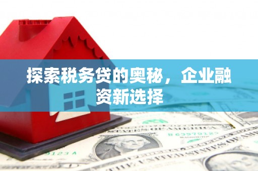 邯山探索税务贷的奥秘，企业融资新选择
