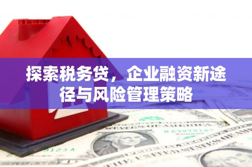 邯山探索税务贷，企业融资新途径与风险管理策略