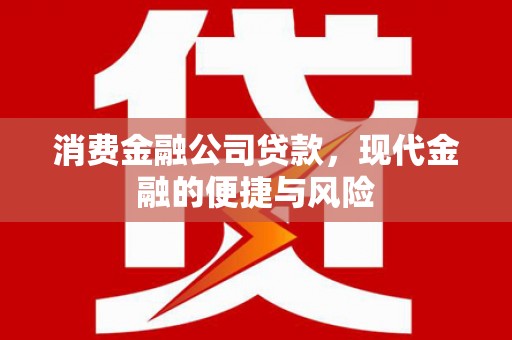 邯山消费金融公司贷款，现代金融的便捷与风险