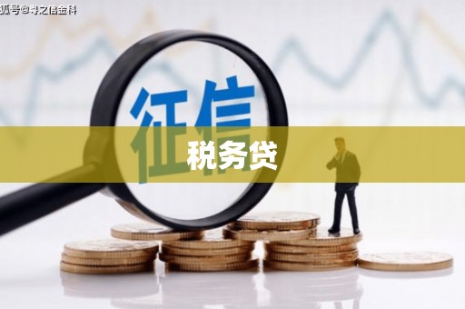 邯山税务贷