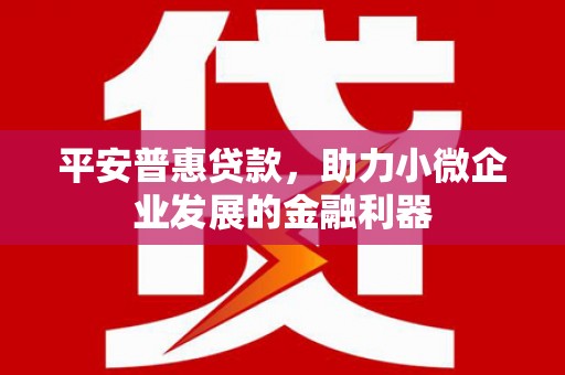 邯山平安普惠贷款，助力小微企业发展的金融利器