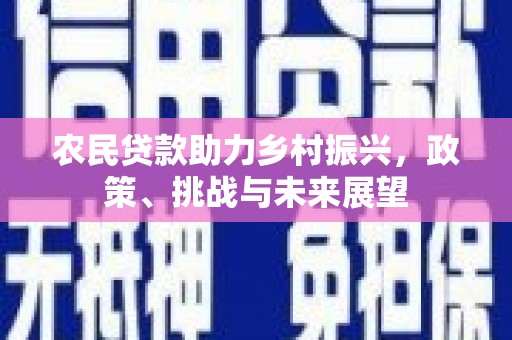 邯山农民贷款助力乡村振兴，政策、挑战与未来展望