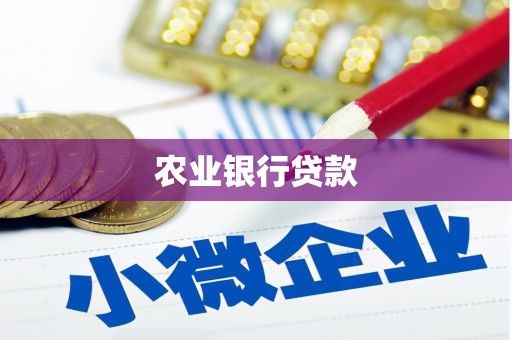 邯山农业银行贷款