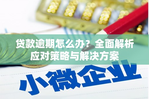 邯山贷款逾期怎么办？全面解析应对策略与解决方案
