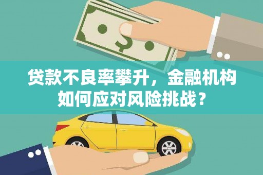 邯山贷款不良率攀升，金融机构如何应对风险挑战？