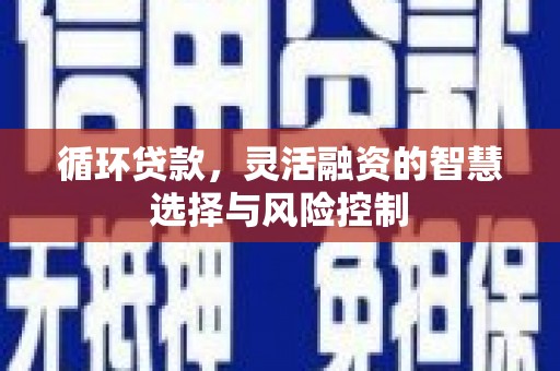 邯山循环贷款，灵活融资的智慧选择与风险控制