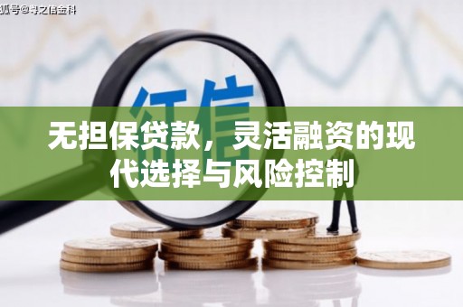 邯山无担保贷款，灵活融资的现代选择与风险控制