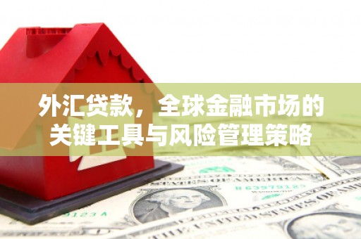 邯山外汇贷款，全球金融市场的关键工具与风险管理策略