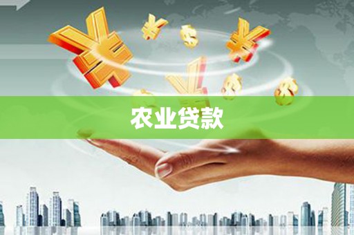 邯山农业贷款