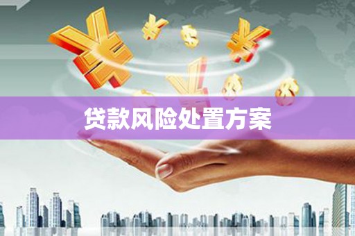 邯山贷款风险处置方案