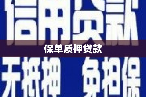 邯山保单质押贷款