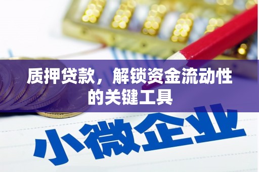 邯山质押贷款，解锁资金流动性的关键工具