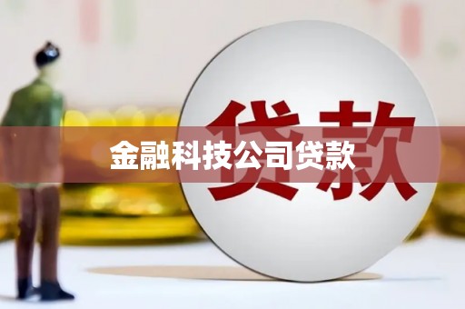 邯山金融科技公司贷款