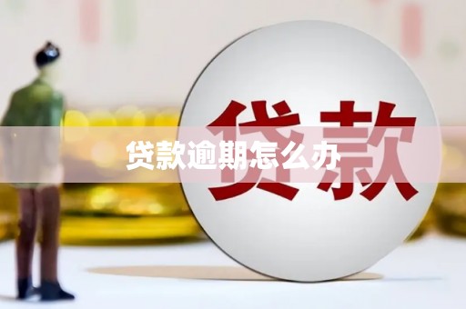 邯山贷款逾期怎么办