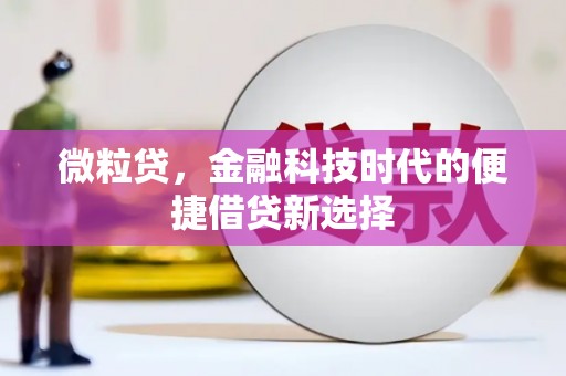 邯山微粒贷，金融科技时代的便捷借贷新选择