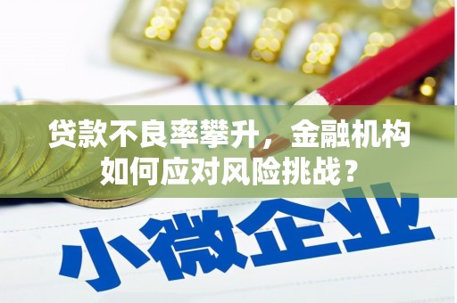 邯山贷款不良率攀升，金融机构如何应对风险挑战？