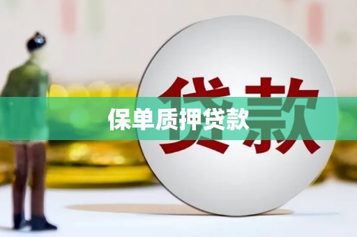 邯山保单质押贷款