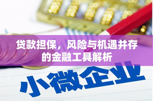 邯山贷款担保，风险与机遇并存的金融工具解析