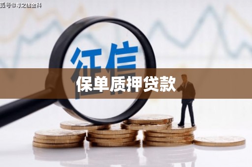 邯山保单质押贷款