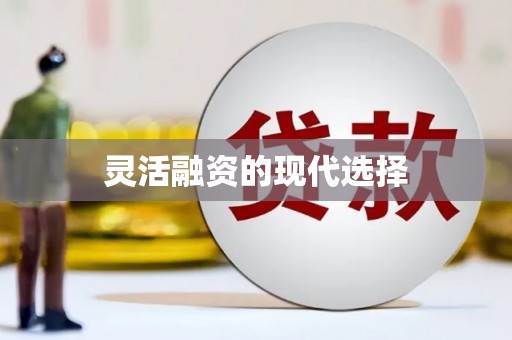 邯山灵活融资的现代选择
