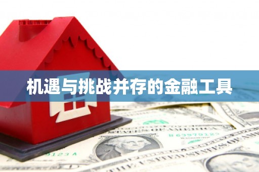 邯山机遇与挑战并存的金融工具