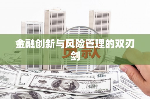 邯山金融创新与风险管理的双刃剑